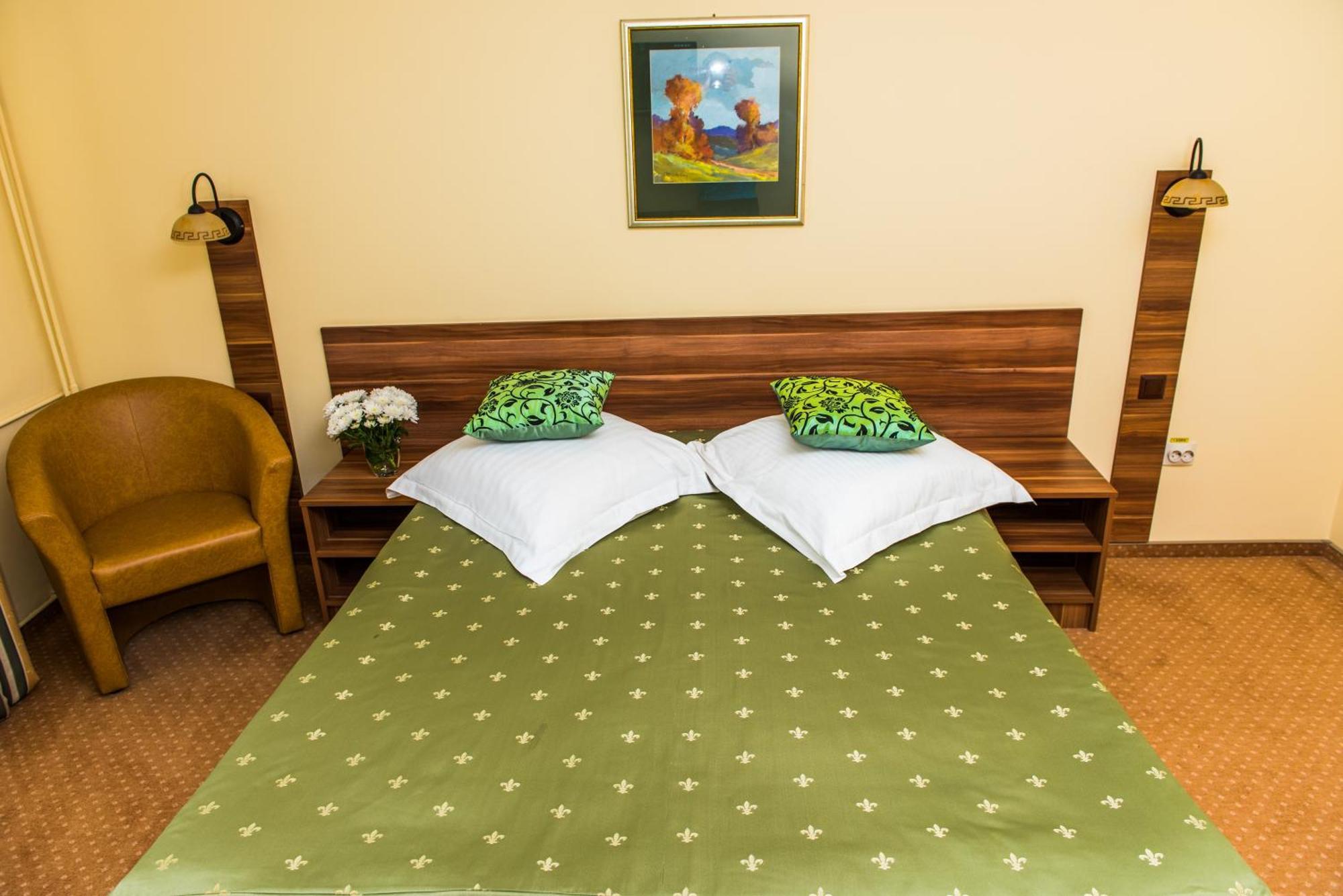 Hotel Lyra Oradea Rum bild